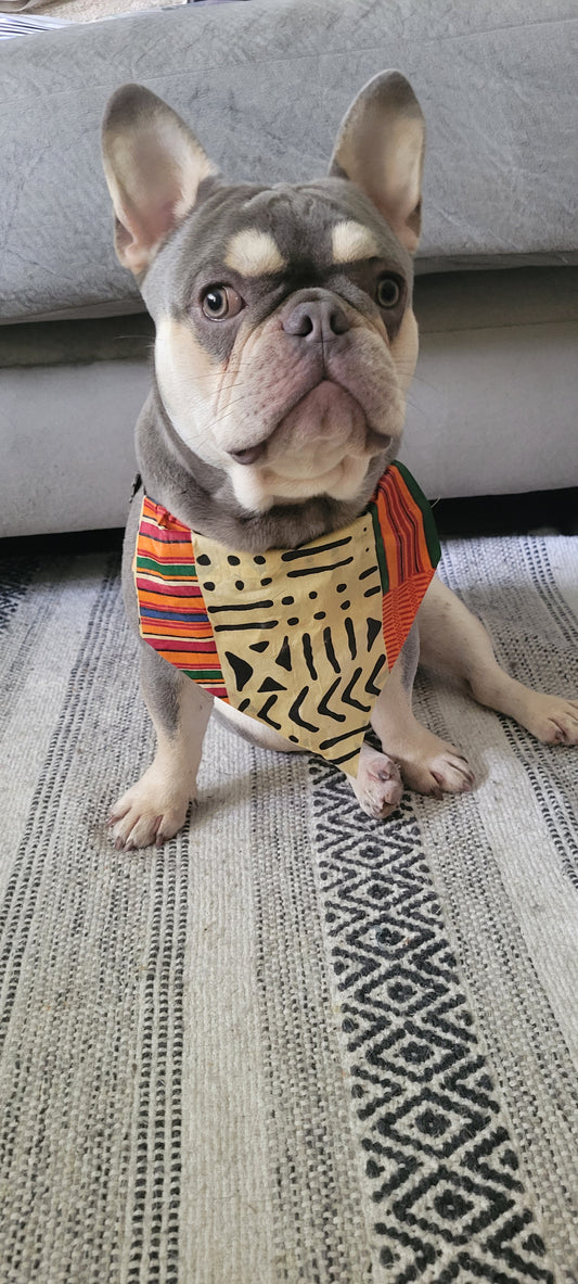 Matching Earrings & Dog Bandana Set